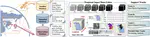 M4Fog: A Global Multi-Regional, Multi-Modal, and Multi-Stage Dataset for Marine Fog Detection and Forecasting to Bridge Ocean and Atmosphere