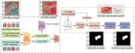 Sea fog detection based on unsupervised domain adaptation